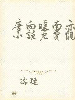 唐向暖南亦琛的小说免费观看