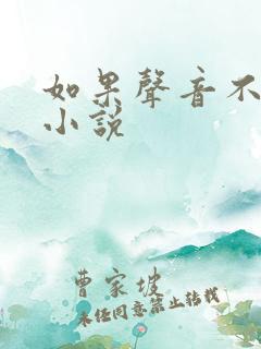 如果声音不记得小说