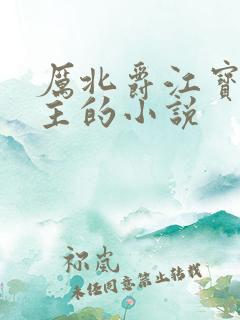 厉北爵江宝宝男主的小说