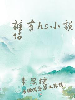谁有hs小说网站