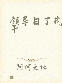 领导日了我一下午