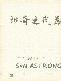 神奇之我为大师