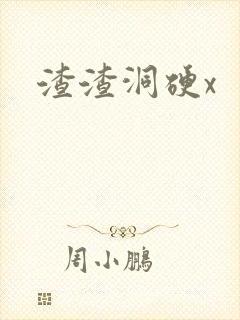 渣渣洞硬x
