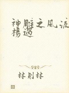 神雕之风流浪子杨过