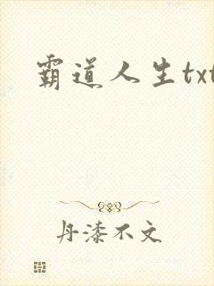 霸道人生txt