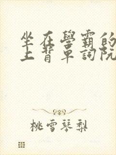 坐在学霸的棍子上背单词阮梅