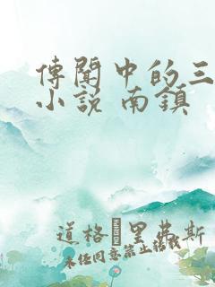传闻中的三公主小说 南镇
