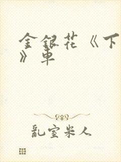 金银花《下厨房》车