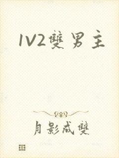 1V2双男主