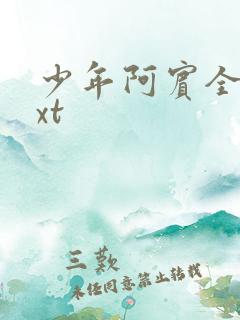 少年阿宾全集txt