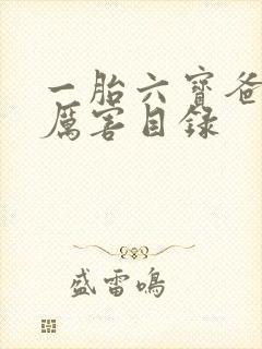 一胎六宝爸比好厉害目录