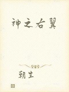 神之右翼