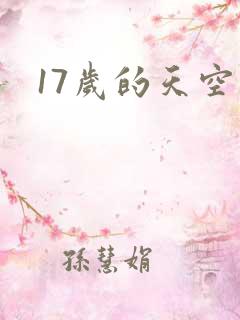 17岁的天空