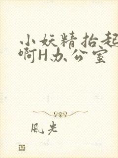 小妖精抬起臀嗯啊H办公室