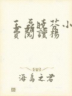 王磊晓芬小说免费阅读杨