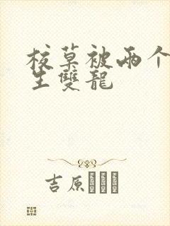 校草被两个体育生双龙