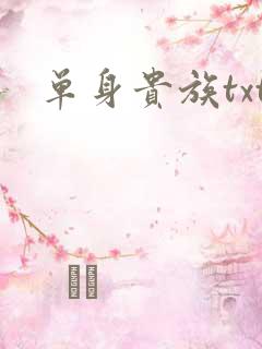 单身贵族txt
