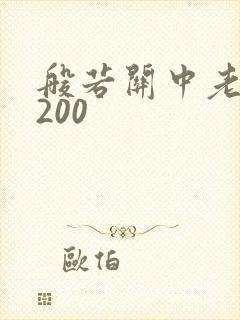 般若关中老人5200