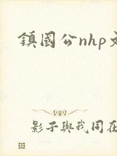 镇国公nhp文