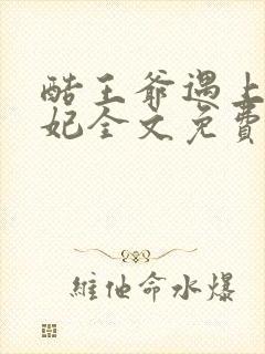 酷王爷遇上穿越妃全文免费阅读