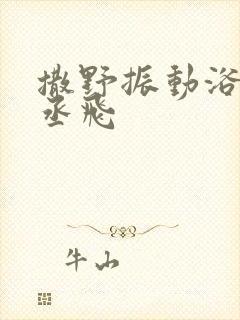 撒野振动浴缸车丞飞