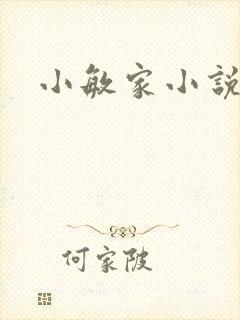 小敏家小说