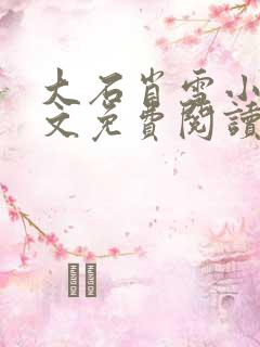 大石肖雪小说全文免费阅读