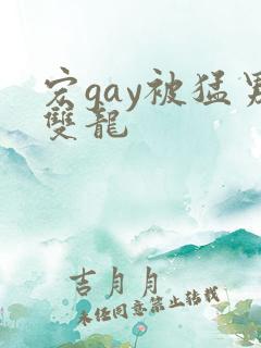 宏gay被猛男双龙