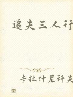 追夫三人行