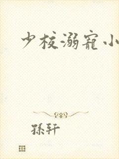 少校溺宠小小妻