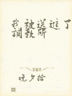 我被送进了私奴调教所