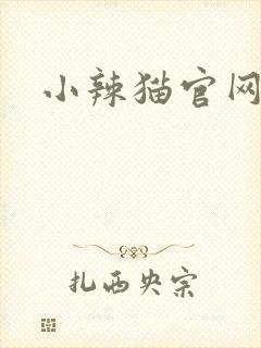 小辣猫官网