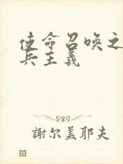 使命召唤之大炮兵主义