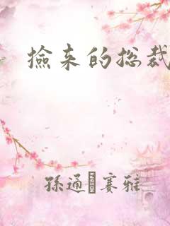 捡来的总裁儿子