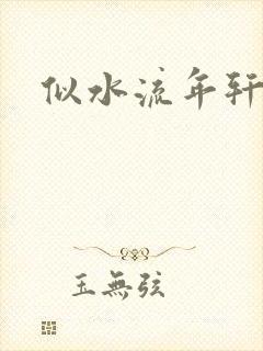 似水流年轩辕悬