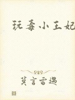 玩毒小王妃