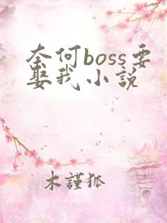 奈何boss要娶我小说