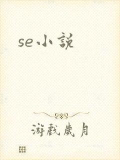 se小说