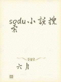 sodu小说搜索