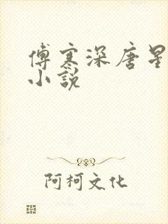 傅寒深唐星挽的小说