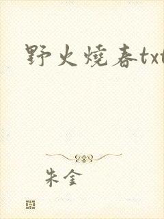 野火烧春txt