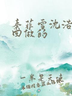 秦菲雪沈浩第几回做的