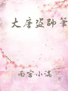 大唐盗帅笔趣阁