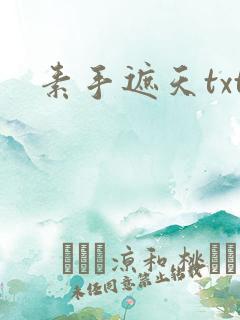 素手遮天txt