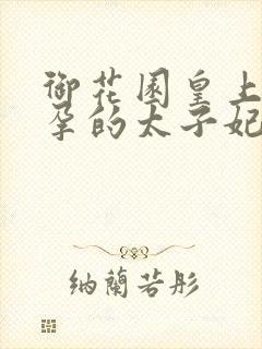 御花园皇上C有孕的太子妃