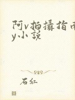 阿v拍摄指南by小说