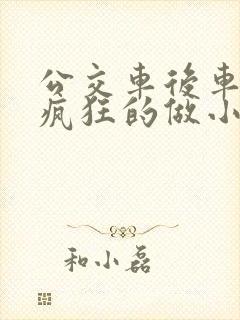 公交车后车座的疯狂的做小