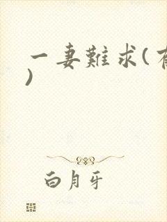 一妻难求(有肉)