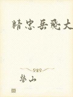 精忠岳飞大结局