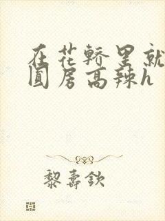 在花轿里就开始圆房高辣h